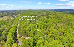 Holli Bird, Ringgold, GA 30736