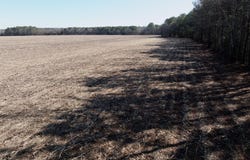 Sandy Ridge Road, Tyner, NC 27980