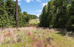 Tract 2 FM 49, Big Sandy, TX 75755