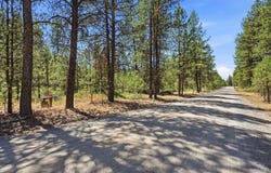 E Owens Rd, Chattaroy, WA 99003