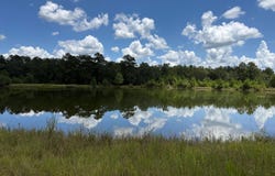 2895 Silver Run Road, Poplarville, MS 39470