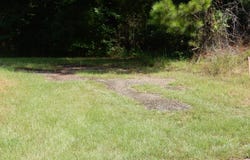 Parcel 1 Whitaker Road, Roberta, GA 31078