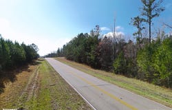 Highway 231, Grady, AL 36036