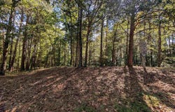 4809 LAUREL TRACE lot: 7, ANNISTON, AL 36207