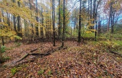 Schaen Drive, Andover, OH 44003