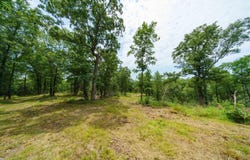 Antioch Road, Cave City, AR 72521