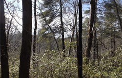 130 Fairway Woods, Pickens, SC 29671