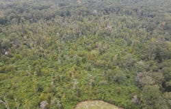 Bogue Chitto Road, Bogue Chitto, MS 39629