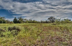1371 County Road 331, Lexington, TX 78947