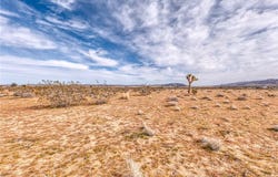 147 Little Road, Joshua Tree, CA 92252