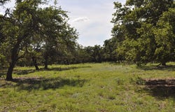 18043 FM 479, Harper, TX 78631