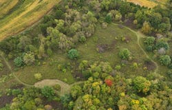 Pierce Road, Hixton, WI 54635