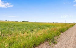 4 TBD County Road 21, Carr, CO 80612