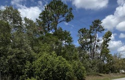 . Waterfall Drive, Spring Hill, FL 34608