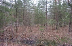Hideaway, Murchison, TX 75778