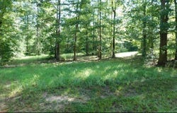 509 Eagle Estates, Hemphill, TX 75948