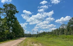 0007 Purvis Boulevard, Corrigan, TX 77351