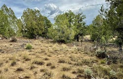 2647 Wrangler Way, Durango, CO 81301