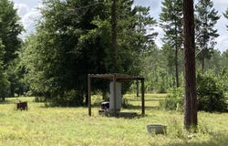 Vacant NE Mango Avenue, Lee, FL 32059
