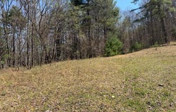 Morris Branch Road, Meadow Bridge, WV 25976