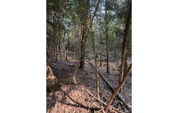 TBD5 Bayshore Road, L'Anse, MI 49946