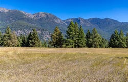 NHN Blaine View Lane, Kalispell, MT 59901