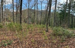 Mountain Ash Way, Sevierville, TN 37876