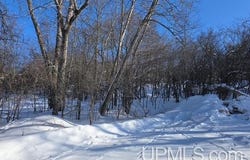 Pewabic Street, Iron Mountain, MI 49801