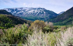 51 Shield O Road, Snowmass, CO 81654