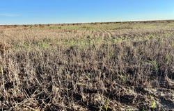 County Road J, Brewster, KS 67732