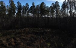 01 Seneca St Ext, Calhoun Falls, SC 29628