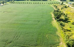 Webster Road, Centerburg, OH 43011