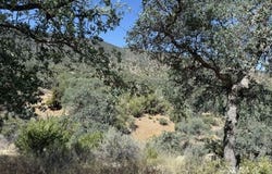 S Alpine St, Bodfish, CA 93205