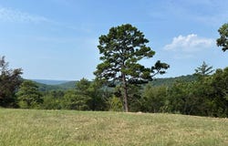 5049 W Highway 64, Ozark, AR 72949