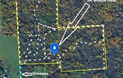 Liberty Pole Road N, Springwater, NY 14560