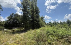 Peanut Road, Cottondale, FL 32431