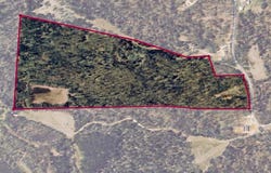 2445 PITTMAN Rd, Somerville, TN 38068