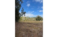 Hwy 349, Old Town, FL 32680
