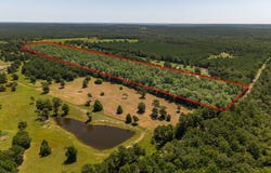 PID #13246 FM 323, Elkhart, TX 75839
