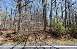 0.67 Acres SHUTTERLEE MILL RD, STAUNTON, VA 24401