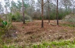 14255 Gray Rd, Beaumont, TX 77705