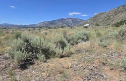 18 Sunrise Trail, Markleeville, CA 96120