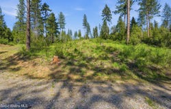 NNA Stone Rd Lot 5 (20.0 Acres), Blanchard, ID 83804