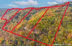 Buffalo Rd, Oneida, TN 37841