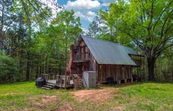 682 Shirley Lathem Rd, Reform, AL 35481