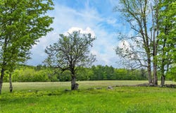 Saddada Road lot: 0, Whitingham, VT 05361