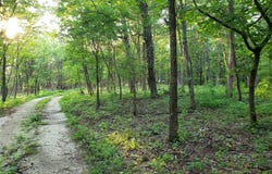 6969 Twin River Road, Eureka, MO 63025