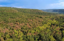 Hwy 9 S, Mountain View, AR 72560
