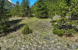 Tract 29A Castle View Drive, Victor, MT 59875