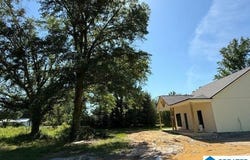 320 MCGOWAN ROAD, WILSONVILLE, AL 35186